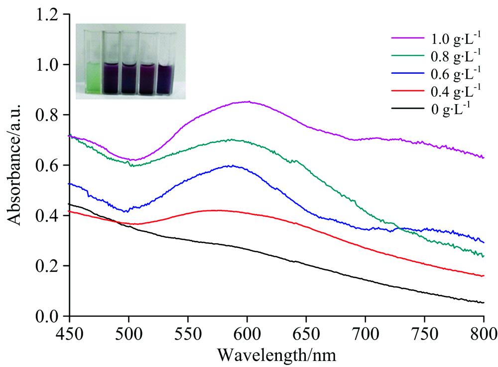 The UV-Vis absorption spectra of Au@MIL-101 with different concentrations of chlorogenic acid. Inset shows the color change of material solutions
