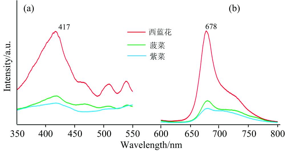Excitation spectrum (a), and emission spectrum (b) of three kinds of vegetable powders