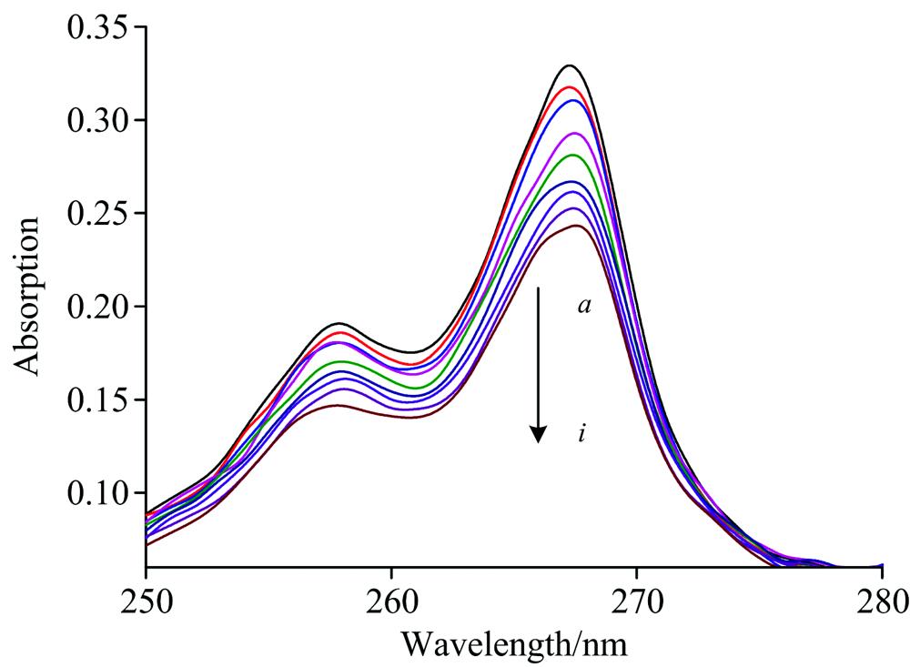 UV-Visible spectra of CHR in the absence and presence of DNA at 25 ℃ at pH 7.40[CHR]=9.96×10-6 mol·L-1, a—i: [DNA]=(0, 0.14, 0.27, 0.41, 0.54, 0.68, 0.81, 0.94, 1.07)×10-6 mol·L-1