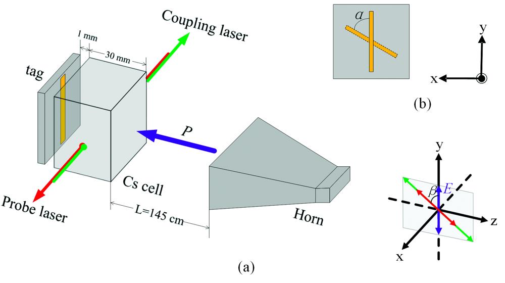 The scheme of experiment setupThe red and green arrows in fig.(a) respectively indicate the propagation direction of the probe and coupling laser, and their polarization vector correspond to the red and green arrows in the coordinate axis respectively; P represents the propagation direction of microwave electric field, and its polarization direction is shown by the purple arrow on the coordinate axis. β is the angle between two laser beams and the polarization direction of microwave electric field. α in fig.(b) is the angle that the label rotates anticlockwise