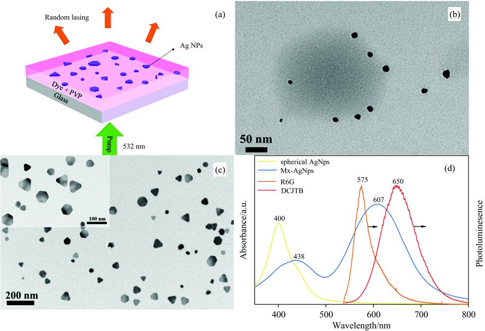 (a) Schematic of the proposed random laser; (b) TEM images of spherical silver nanoparticles scale bars is 50 nm; (c) TEM images of multi-shaped silver nanoparticles, scale bars is 200 nm. Inset: TEM images of multi-shaped silver nanoparticles, scale bars is 100 nm; (d) Absorption spectrum of spherical silver nanoparticles (yellow) andmulti-shaped silver nanoparticles (blue), photoluminescence spectrum of R6G (orange) and DCJTB (red) membrane