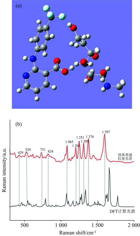 Optimize molecular structural formula of FM (a), the blue, red, grey, white, green ball are N, O, C, H, F atom respectively; Comparison between theoretical Raman spectra and solid Raman spectra (b)
