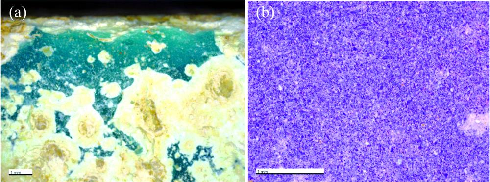 Micrographs of the sample surfaces(a): Blue sample; (b): Purple sample