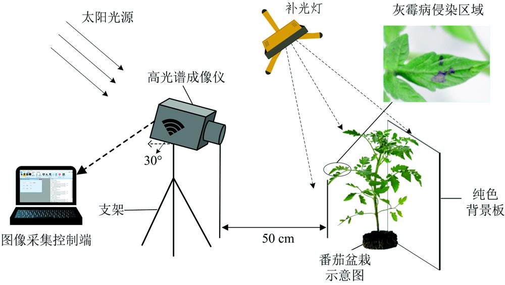 Tomato leaves hyperspectral image acquisition diagram