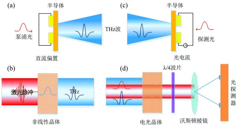 THz generation using (a) photoconductive antenna and (b) optical rectification; THz detection using (c) photoconductive antenna and (d) EOS