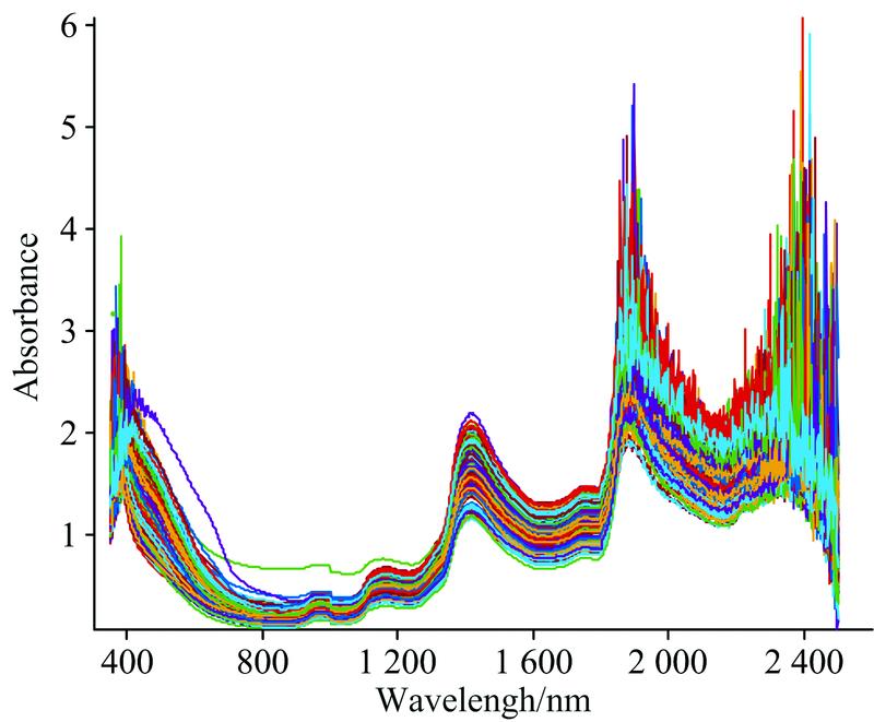 Original near-infrared spectra of larch wood samples
