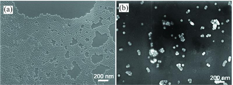 SEM images of OA-UCNPs (a) and PAA-UCNPs (b)
