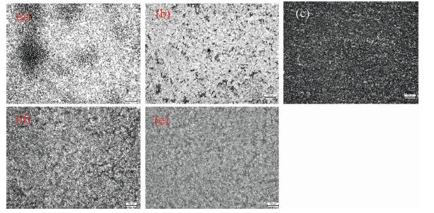 Metallographic organization images with 100 times magnification of samples with different grain sizes(a): at level 9.5; (b): at level 10.0; (c): at level 10.5;(d): at level 11.0; (e): at level 11.5