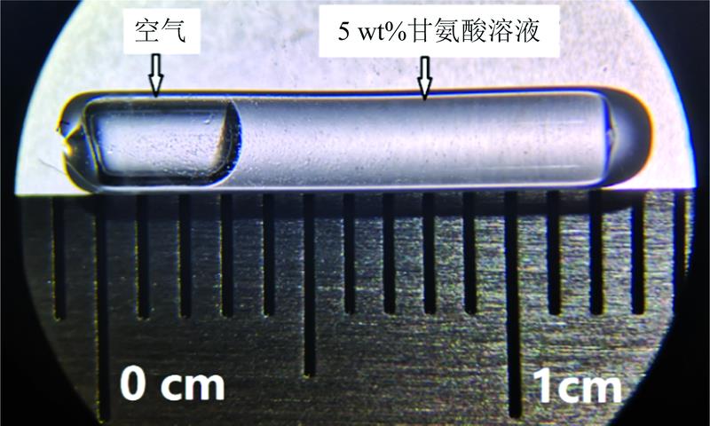 An image of a sample (5 Wt% glycine solution) sealed in fused silica capillary reactor
