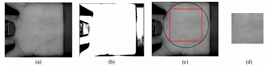 Multispectral palmprint ROI extraction process(a): Near-infrared palmprint; (b): Binarization; (c): Maximum incision circle; (d): Near-infrared palmprint ROI