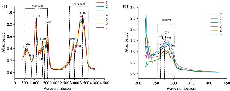Average spectra of 7 species of Boletus(a): Mid-infrared spectrum; (b): UV-Vis spectrum