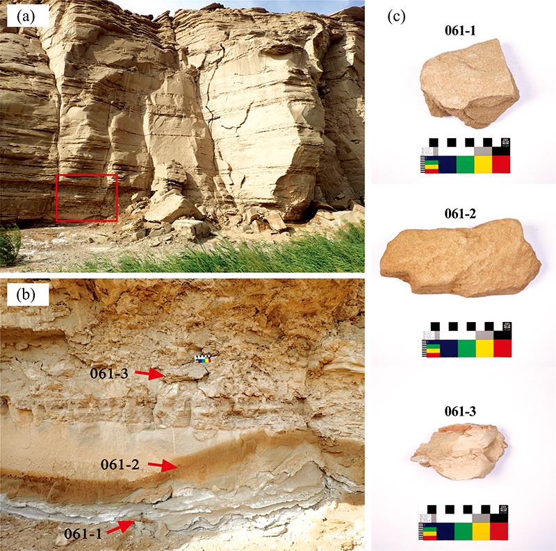Sample collection position and photos of samples(a): Weathering at the bottom of Yardang near the No.2 water source of Dahaidao; (b): Sample collection position; (c): Photos of samples