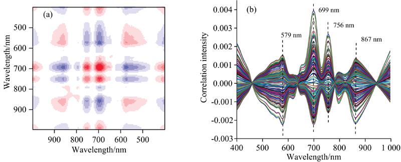 Two-dimensional correlation spectra and its slice spectra(a): Synchronous contour map; (b): Slice spectra