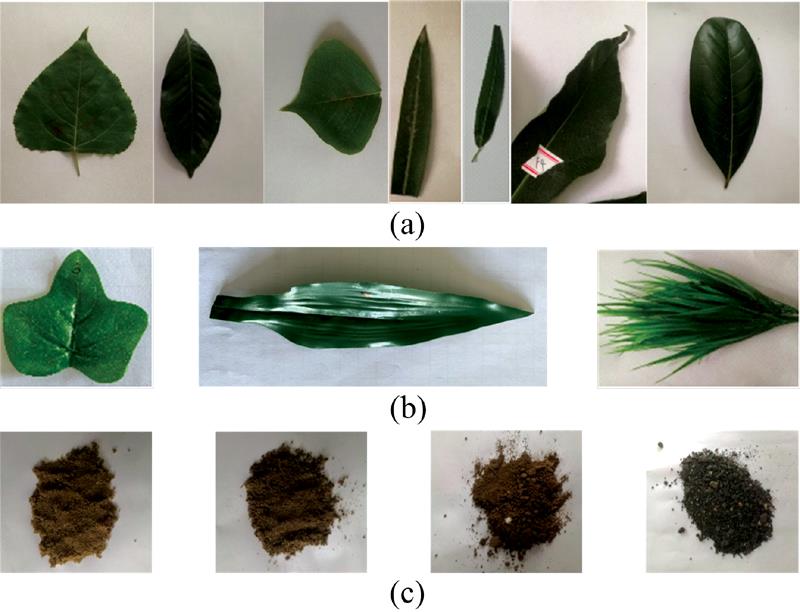 Different samples(a):Green plants; (b), (c): Others