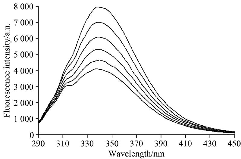 Fluorescence spectra of tartrazine-BSA (293 K) c(BSA)=5×10-7 mol·L-1; c(tartrazine)(from up to down)=(0, 1, 2, 3, 4, 5)×10-7 mol·L-1