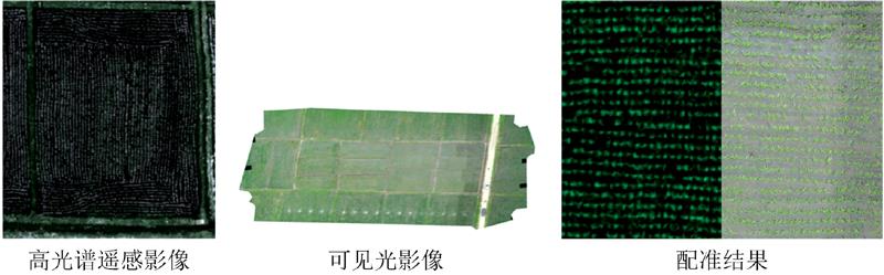 Registration results of visible light image (b) and hyperspectral remote sensing image (a)
