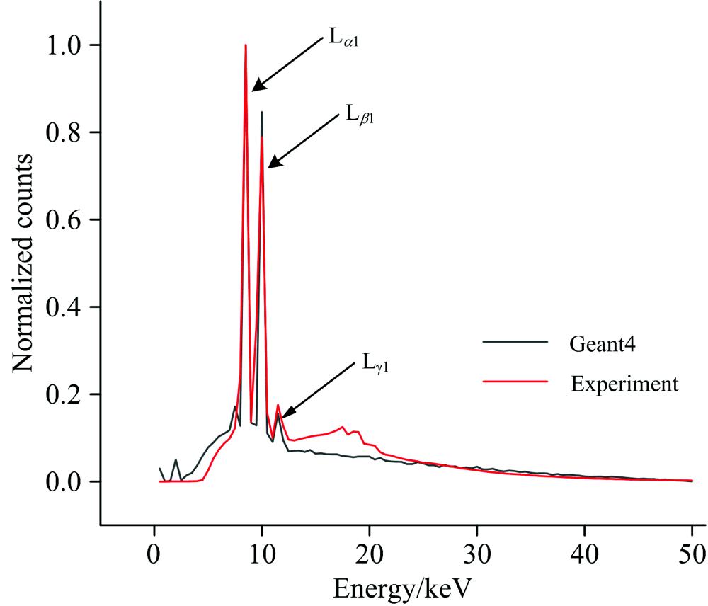 Comparison of experimental primary spectrum and GEANT4 with 50kV tube voltage