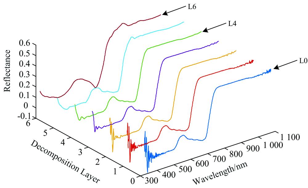 Reconstructed reflectance spectra of L1-L6 layers by wavelet analysis