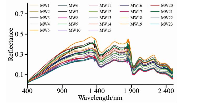 Measured withered grass spectrum (MW) on November 27, 2020 in Haibei