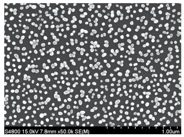 Electron microscopic image of Au NPs