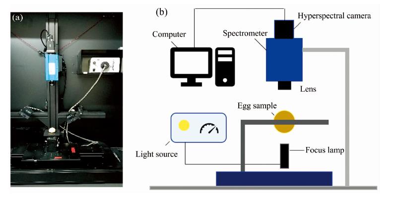 Hyperspectral system in laboratory(a): Physical image of system; (b): Architecture drawing of system