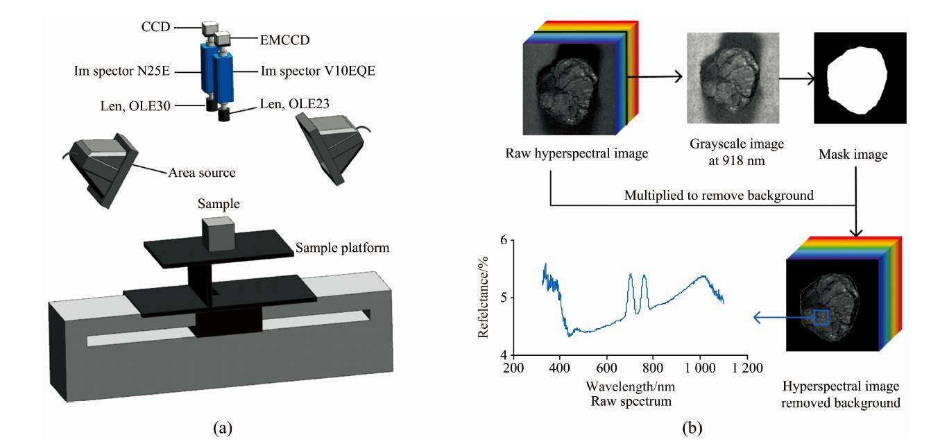 Hyperspectral imaging system (a) and process of spectrum extraction (b)