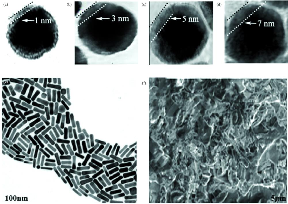 (a)—(d) High-magnification TEM images of Au@AgNPs with Ag shell thicknesses of 1, 3, 5, 7 nm respectively[18];(e) TEM images of Au@AgNR[16]; (f) SEM of B-g-PAMDAC[20]