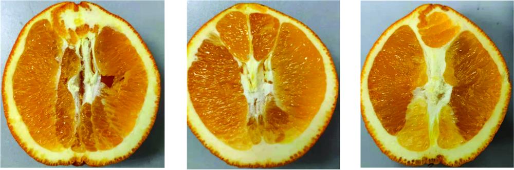 Three different granulation degrees of navel orange in southern Jiangxi(a): None; (b): Mild; (c): Moderate