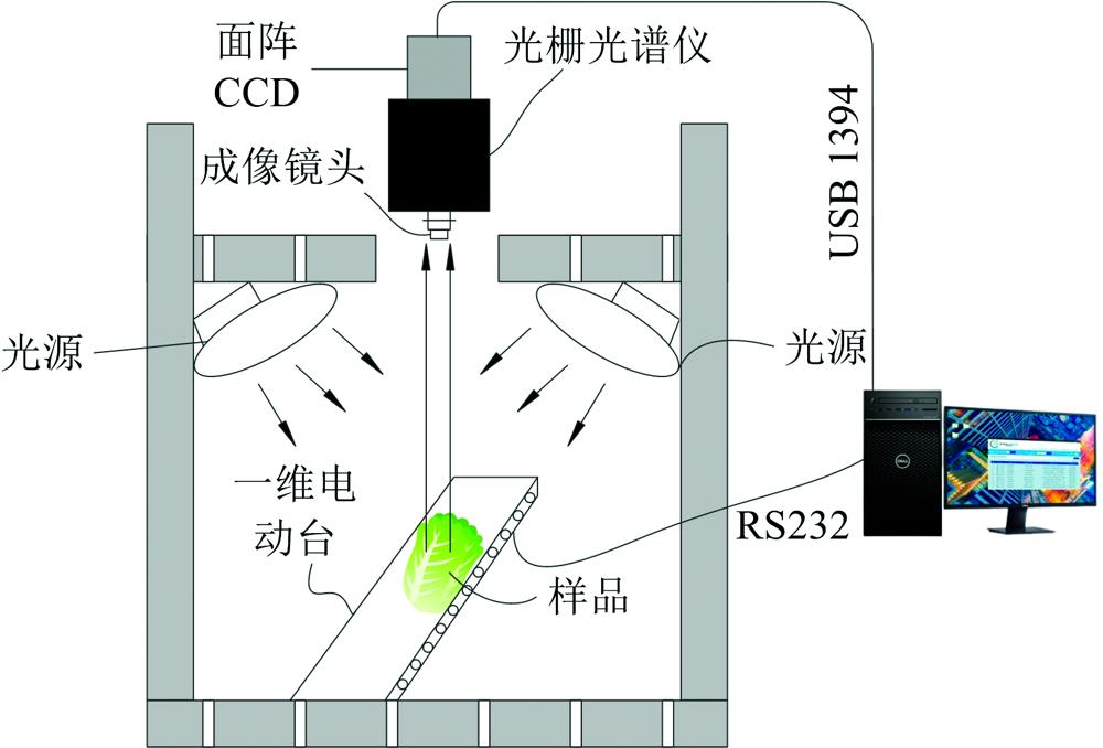 Schematic diagram of hyperspectral imaging system