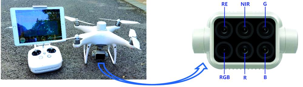 DJI Phantom 4 RTK multispectral UAV and its imaging system