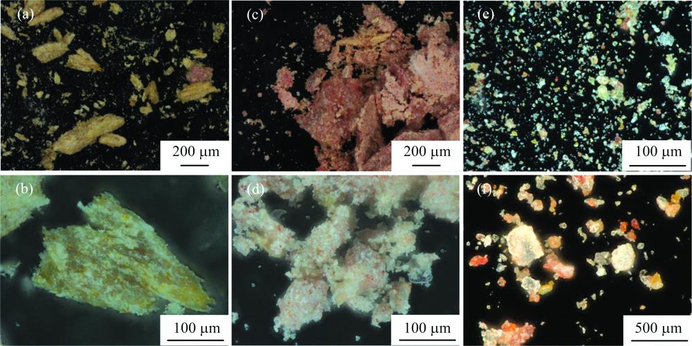 Optical micrographs of iron-rich raw materials(a), (b): Qingshitou; (c), (d): Hongshitou; (e), (f): Zijintu