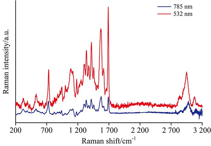 Raman spectra of NADH with 532 and 785 nm laser excitation