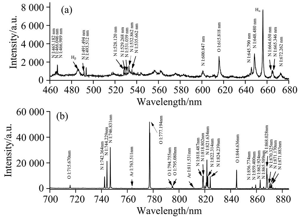 LIBS spectrum of ambient air(a): 460~680 nm; (b): 700~895 nm