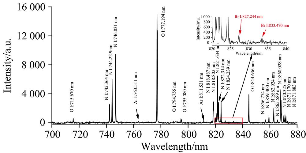 LIBS spectrum of deltamethrin in 700~895 nm waveband