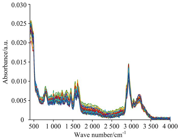 Original Raman spectra of blood samples