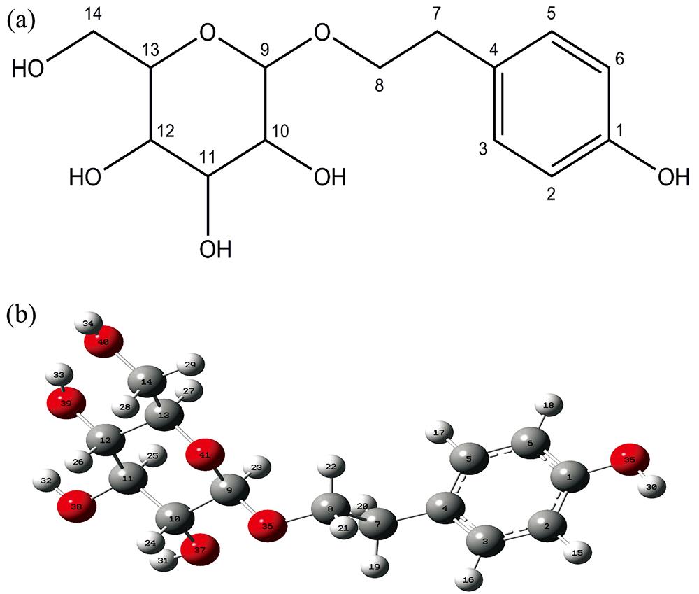 Planar structure (a) and spatial configuration after optimization (b) of Salidroside molecule