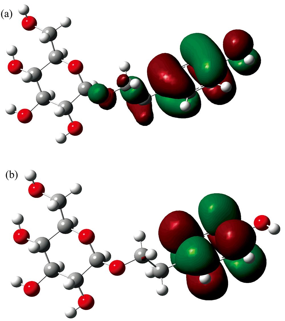 HOMO orbital (a) and LUMO orbital (b) of Salidroside molecule