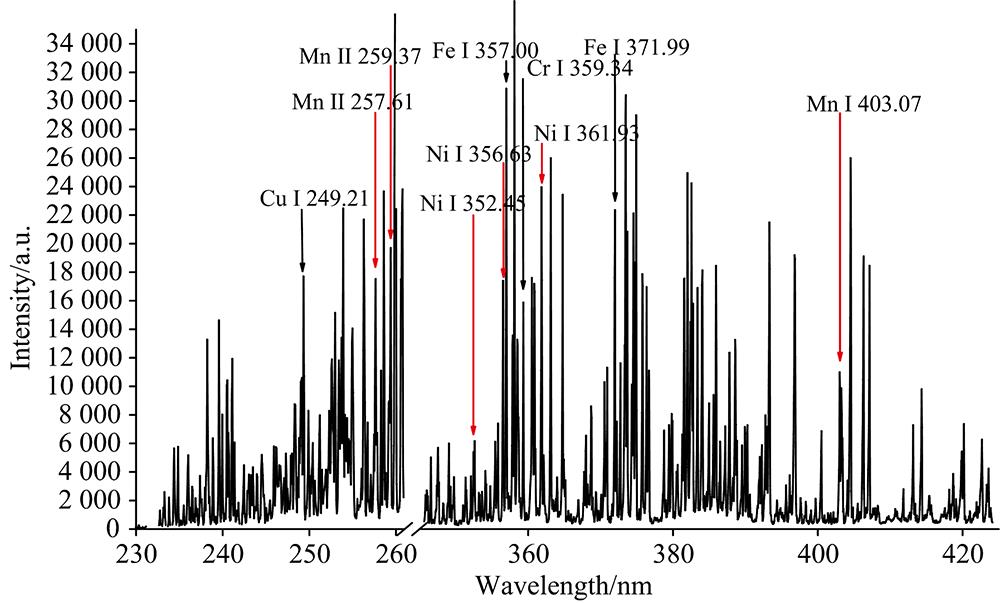 Typical spectra of steel samples