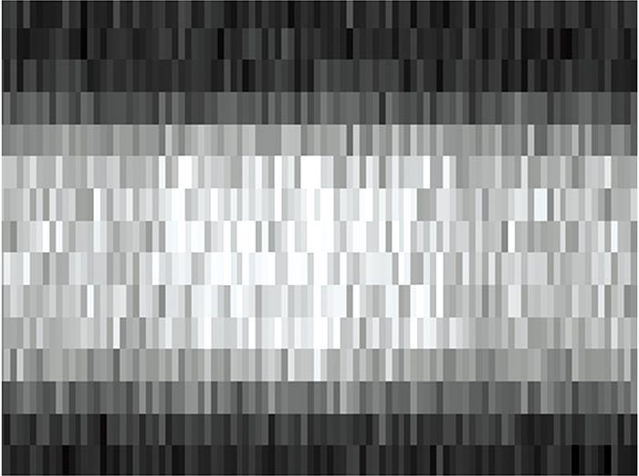 An image of 2D spectrum