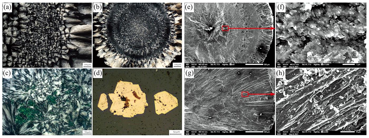 Microphotographs and scanning electron microscope images of grape chalcedony(a)—(d): Microscopic characteristics of grape chalcedony, (a), (b), (c) are transmitted light (CPL), (d) is reflected light illuminate in dark field; (e)—(h): Morphological characteristics of chalcedony fracture by SEM, (f), (h) are partial enlarged detail of (e) and (g), respectively