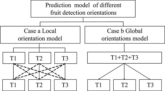 Sugar prediction model based on different detection orientations