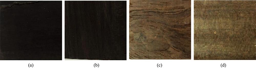 Four types of heartwood samples(a): D. ebenum; (b): D. melanoxylon; (c): C. imberbe; (d): G. conjugate