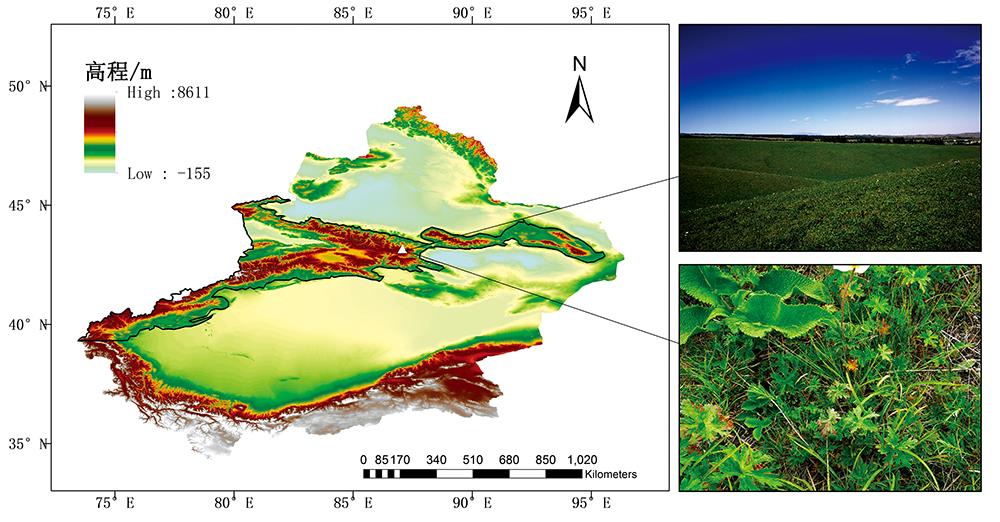 Location and typical vegetation composition in study area (Tianshan Mountains marked by black border in the map)