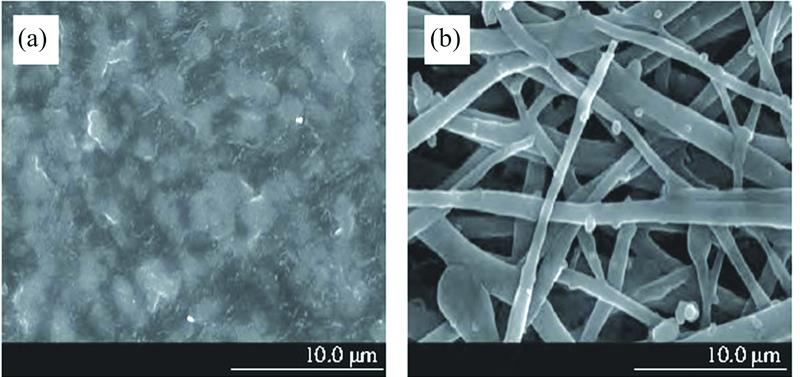 SEM images of biosensor before (a) and after (b) cross-linking reaction[29]