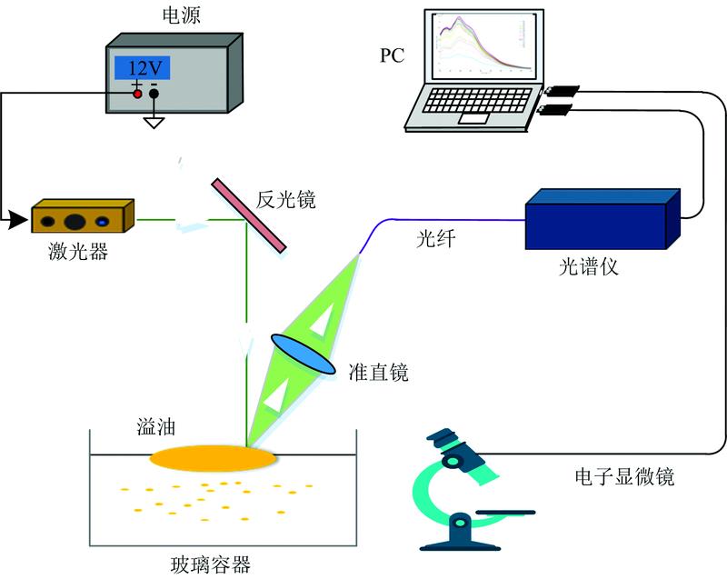 Schematic diagram of LIF system measuring oil spill fluorescence