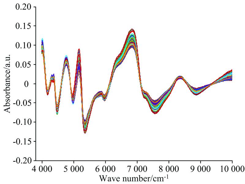 NIR spectra of the SG+Detrend method