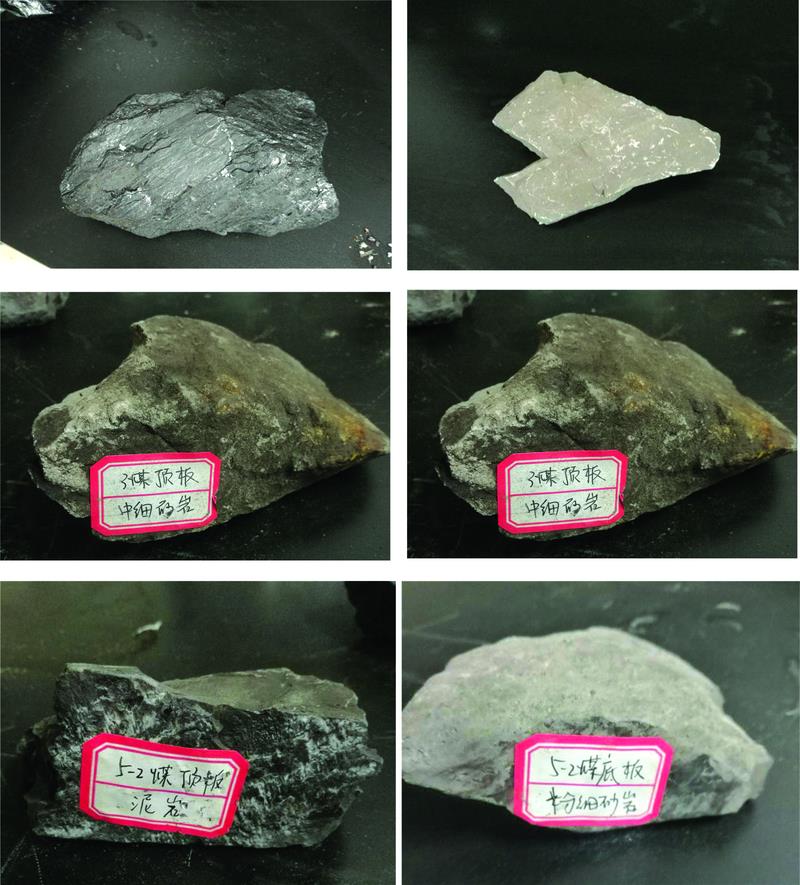 Some coal and rock samples