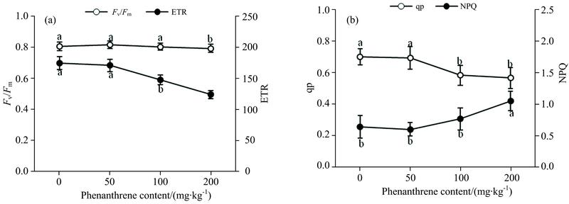 Effects of chlorophyll fluorescence characters in leaves of Glycine soja to soils phenanthrene stress(a): Variation trend of Fv/Fm and ETR fluorescence parameters; (b): Variation trend of qP and NPQ fluorescence parameters
