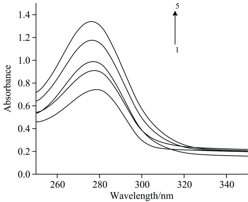 Ultraviolet-visible spectrum of different concentrations of catechins binding to IgYThe mass concentration of IgY was 0.5 mg·mL-1; The mass concentrations of 1 to 5 catechins were 0, 6.25, 12.5, 18.75, 25 μg·mL-1, respectively, as shown in Figure 2