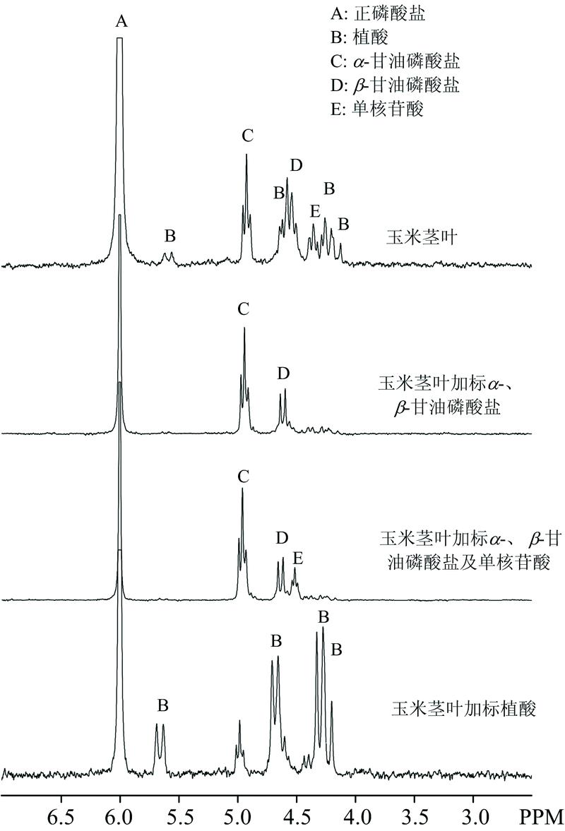 Solution P-NMR spectra showing the assignment of peaks in the orthophosphate monoester region, including spiking experiments